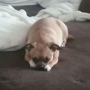 Meet your Posher, Lorie